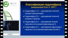Марухненко Д.В. - Малоинвазивные оперативные вмешательства при лечении гидронефроза у детей