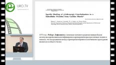 Кузьмин И.В. - Селективность альфа-адреноблокаторов: возможности и перспективы применения в урологии