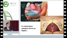 Шкарупа Д.Д. - Функциональная анатомия тазового дна для хирурга