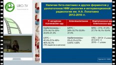 Н.П. Шевченко - Принципы современной антимикробной терапии в урологии