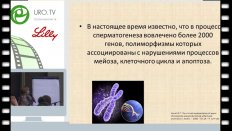 Кульченко Н.Г.  - Диагностика мужского бесплодия. Молекулярного-генетические аспекты.