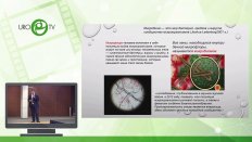 Фаниев М.В. - Скрининг тестикулярного микробиома у инфертильных больных