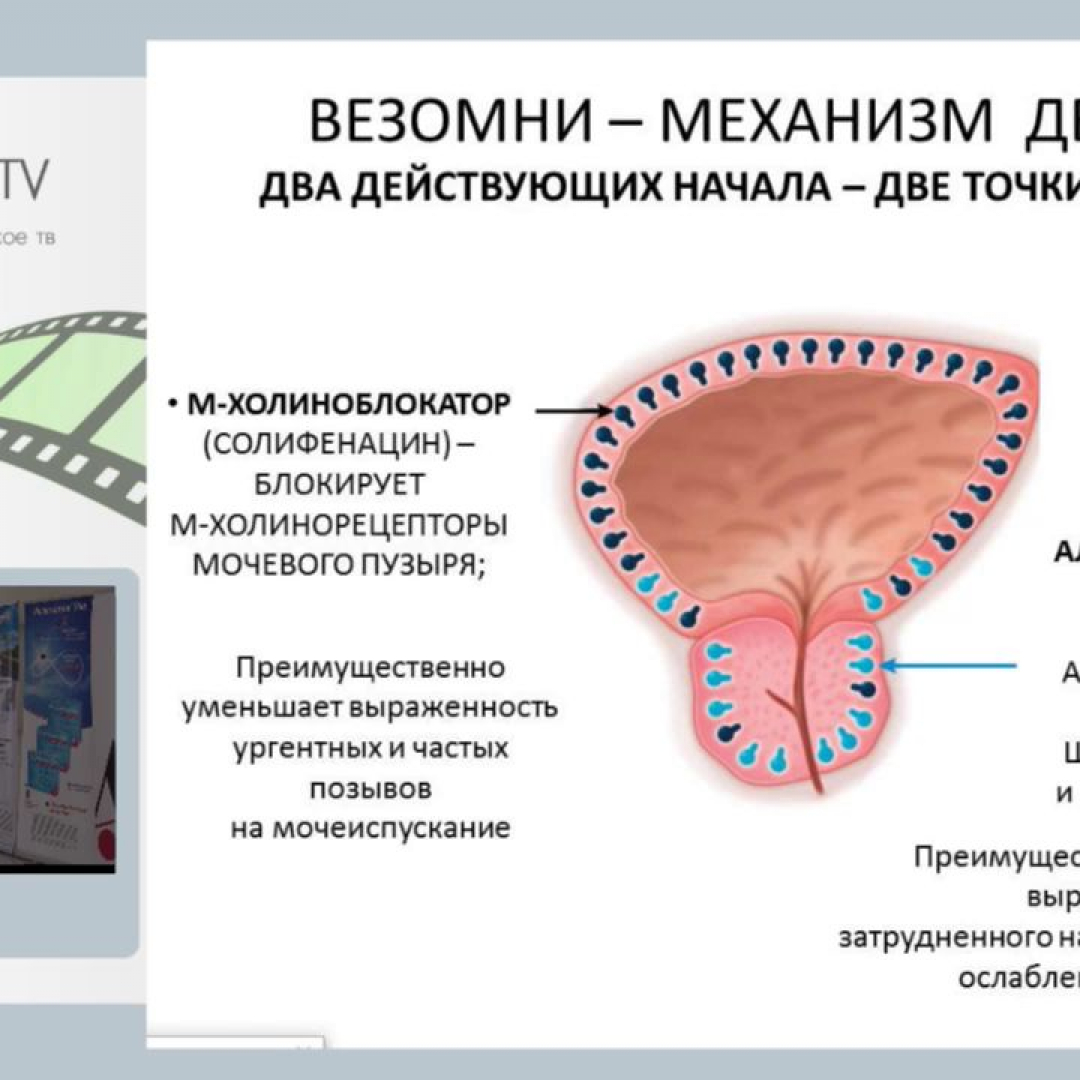 Афалаза отзывы мужчин и врачей. Тамсулозин механизм действия. Механизм действия тамсулозина. Афалаза механизм действия. Механизм действия тамсузолина.