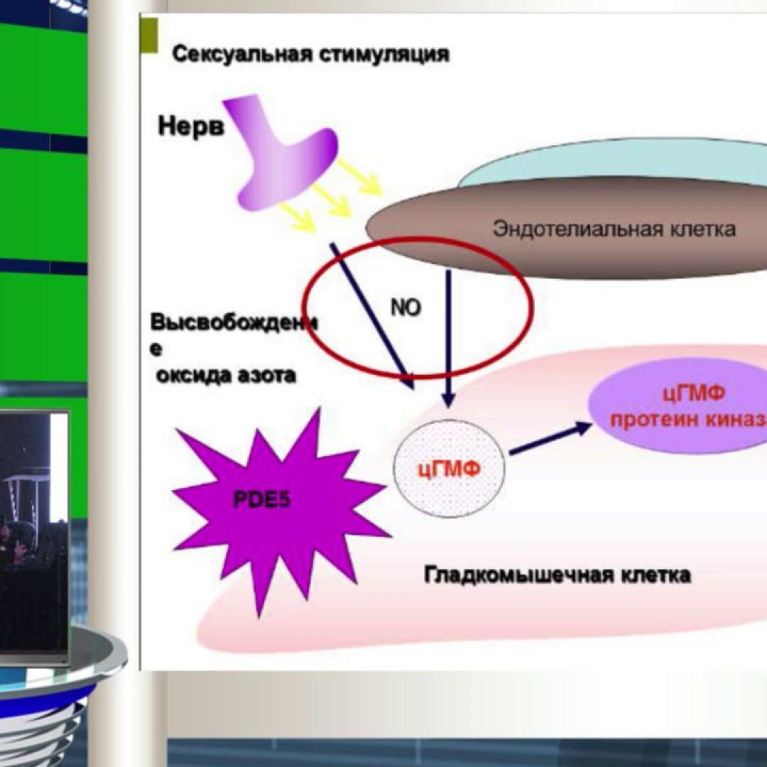 Как сохранить сексуальное здоровье: новости клиники Оксфорд Медикал Киев