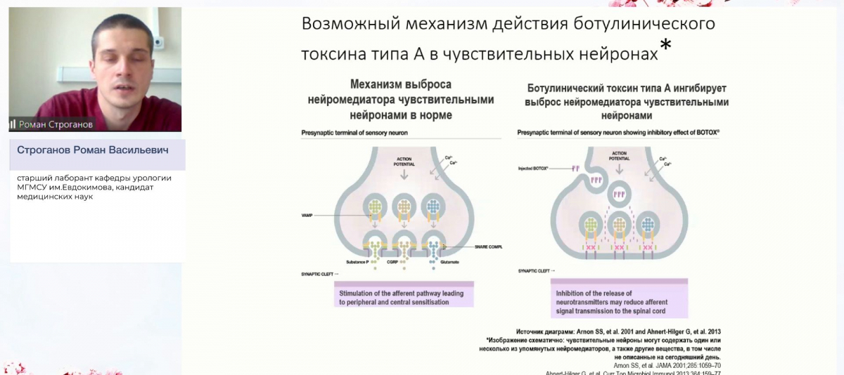 Надлобковая капиллярная пункция. Женский мочевой пузырь анатомия. Строение мочевого пузыря у мужчин. Ботокс шприц. Ботулинотерапия мочевого пузыря.