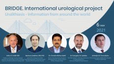 BRIDGE. International urological project. Urolithiasis - information from around the world