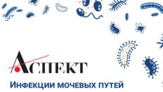 Заседание ДОК «АСПЕКТ»: Школа ИМП