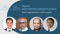 BRIDGE. International urological project. Expert approaches in stone surgery