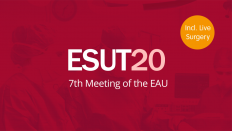 7 Конгресс Европейского Общества по Уротехнологиям (ESUT)