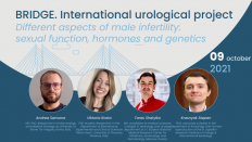 BRIDGE. International urological project. Different aspects of male infertility: sexual function, hormones and genetics