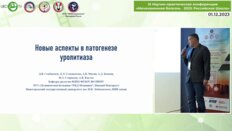 Семенычев Д.В. - Новые аспекты в патогенезе уролитиаза