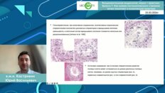 Кастрикин Ю.В. - Как знания гистологического строения яичек помогают в клинической практике