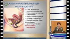 Перепанова Т.С. - Обновленные Российские Национальные рекомендации по антимикробной терапии и профилактике инфекций почек, мочевыводящих путей и мужских половых органов 2014г.