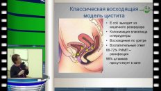 Перепанова Т.С. - Российские национальные рекомендации по антибактериальному лечению и профилактике инфекций нижних мочевых путей