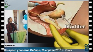 Кульчавеня Е.В. - "Особенности течения и лечения инфекций мочевыводящих путей у женщин"