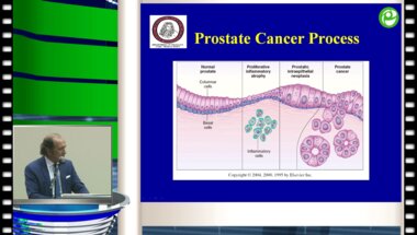 Maurizio Brausi - Эпигаллокатехина галлат. Простатопротекторы нового поколения