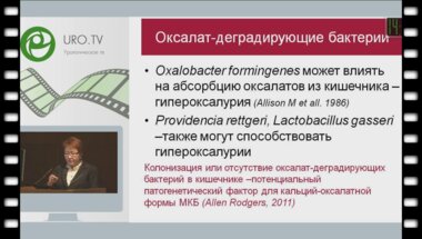 Перепанова Т.С. - Роль инфекции в камнеобразовании