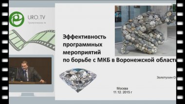 Золотухин О.В. - Эффективность программных мероприятий по борьбе с МКБ в Воронежской области