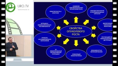 Молчанов О.Е. - Современные прогностические системы у онкоурологических больных
