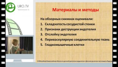 Комарова С.Ю. - Ультраструктурные изменения семенной вены при варикоцеле у детей. Ультраструктурные характеристики гипоплазии яичка при крипторхизме у детей