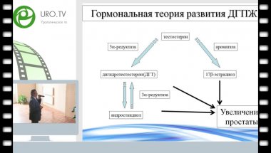 Аль-Шукри С.Х. - Применение биорегуляторных пептидов в урологической практике