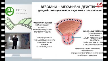 Винаров А.З. - Новый друг, лучше старых двух?