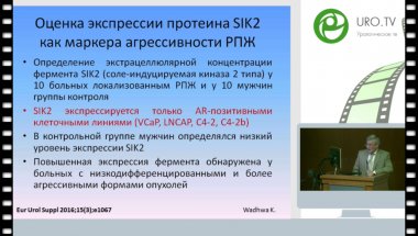 Алексеев Б.Я. Обзор докладов 31 конгресса EAU и обновления рекомендаций EAU по проблеме Онкоурология