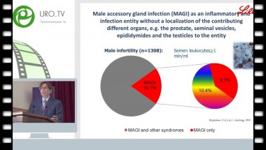 Божедомов В.А. - Инфекционно-воспалительные процессы при бездетном браке. Андрологические аспекты