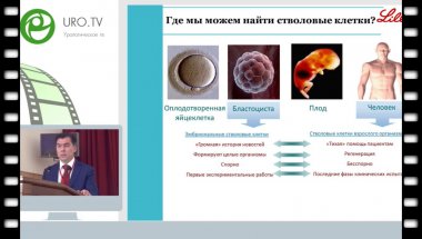 Чалый М.Е. - Применение клеточных технологий в андрологической практике