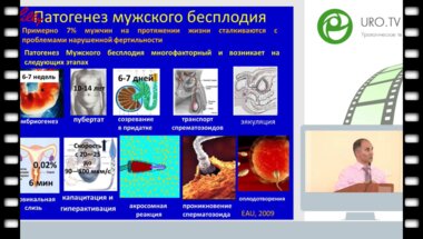 Гамидов С.И. - Современная концепция диагностики бесплодия у мужчин