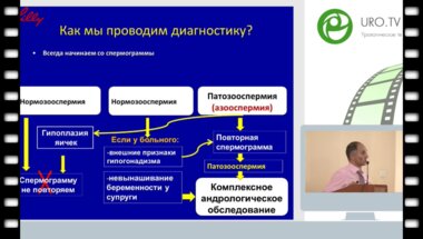 Гамидов С.И. - Невынашивание беременности у супруги - виноват мужчина?