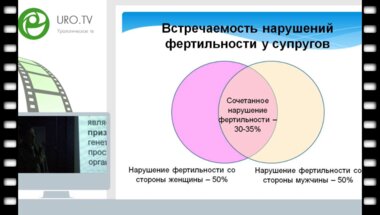 Черных В.Б. - Частые генетические причины мужского бесплодия