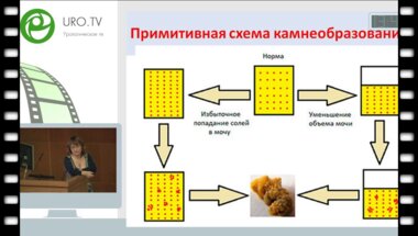Анча Баранова - Персонализированная медицина