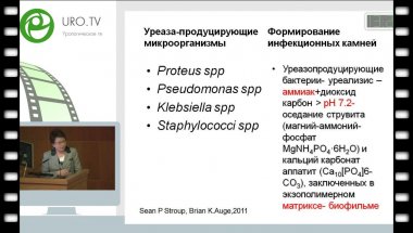 Перепанова Т.С. - Профилактика инфекционных осложнений и рецидивов камней почек после перкутанной нефролитотрипсии