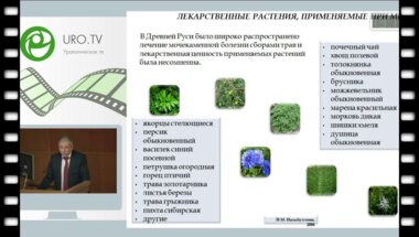 Саенко В.С. - Современный взгляд на роль растительных препаратов в лечении мочекаменной болезни