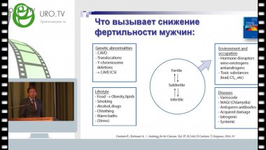 Божедомов В.А. - Диагностика и лечение мужского бесплодия