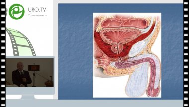 Даренков С.П. - Хирургические приёмы при посттравматических стриктурах мембранозного отдела уретры