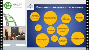 Цариченко Д.Г. - Медикаментозная терапия неонкологических заболеваний предстательной железы