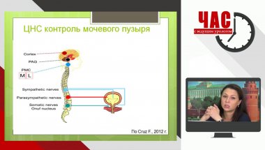 Час с ведущим урологом: Коршунова Е.С. - Урологические проблемы неврологических больных.