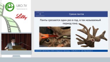 Коваленко А.А. - Пантовые ванны санатория Звенигород  уникальные возможности реабилитации