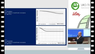 Лобкарев А.О. - Тадалофил и доксазозин имеют общие механизмы действия на простату