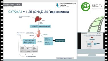Ян Хальбриттер - Мочекаменная болезнь у взрослых когда стоит задуматься о генетических нарушениях