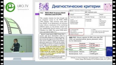 Божедомов В.А. - Фертильность мужчины и инфекции репродуктивного тракта