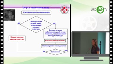 Григорьева М.В. - Дифференцированный подход к лечению заболеваний, входящих в понятие синдрома отечной мошонки у детей