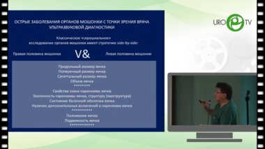 Тарусин Д.И. - Ультразвуковая диагностика острых заболеваний органов мошонки