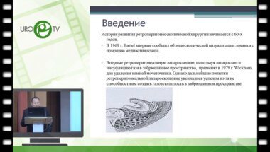 Вильский Г.И. - Ретроперитонеоскопический доступ в лечении патологий почек