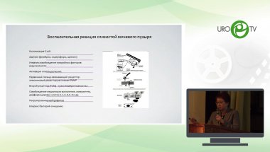 Перепанова Т.С. – Новые подходы к лечению и профилактике рецидивирующего цистита