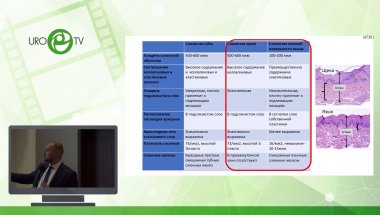 Котов С.В. - Применение слизистой ротовой полости в урологии