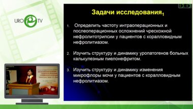 Буймистр С.Ю. - Факторы риска осложнений чрескожной нефролитолапаксии при коралловидных камнях