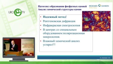 Штромаер Валтер Людвиг - Современное представление патогенеза фосфатного уролитиаза